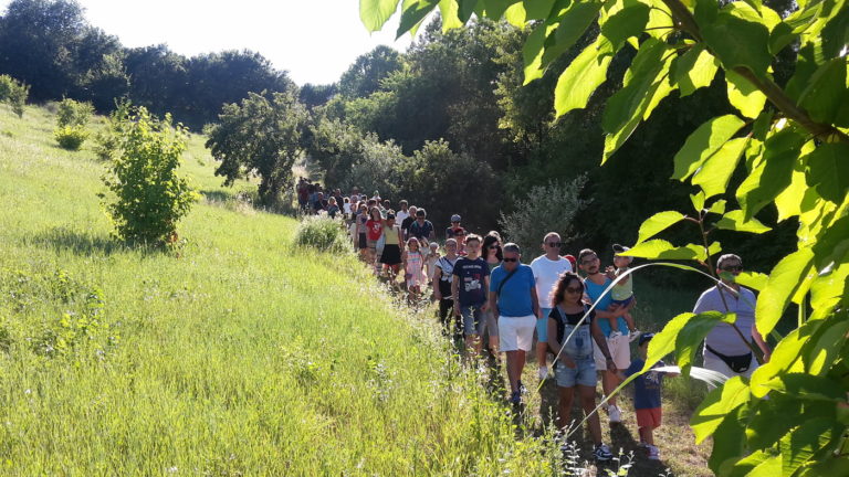 Didattica alle Scuole - Nazzareno Polini 11